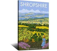 Metal Tin Sign Shropshire Blue Remembered Hills Vintage Wall Plaques for Man Cave Home Outdoor Farm Girl's Room Wedding Valentine's Day Present 15x30CM