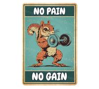 Metal Tin Sign Squirrel No Pain No Gain Vintage Look Tin Decoration Art Sign For Home Gym Inspirational Quotes Wall Decor 5.5x8 Inch
