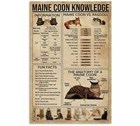Metal Tin Sign- Vintage Maine Coon Knowledge Cat Cat Lover Poster Metal Aluminium Tin Sign Wall Decor 8x12 Inch