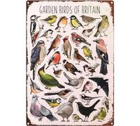 Metal Tin Signs Funny Garden Birds Stationery Letterbox Gift Vintage Metal Signs Funny