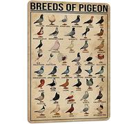 Metal Vintage Tin Sign Decor Breeds of Pigeon Metal Signs Pigeon Education Encyclopedia Knowledge Posters Tin Sign Poster Vintage Metal Signs for Bar Music Club Man Cave Room Wall Decor 16x12 Inch