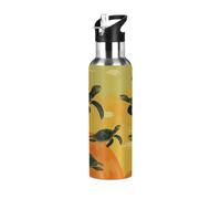 Metal Water Bottle with Straw, Flying Green Turtle Insulated Water Bottles 600ml Drinks Bottle