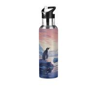 Metal Water Bottle with Straw, Glacier Penguin Insulated Water Bottles 600ml Drinks Bottle