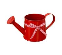 Metal Watering Can 1L, Modern Decorative Plant Watering Pot with Long Spout, Compact Lightweight Indoor Outdoor Plant Sprinkler for Home Office Balcony Garden Indoor Bonsai Flowers