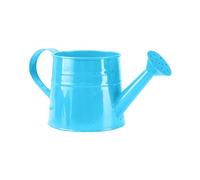 Metal Watering Can, 1L Small Durable Watering Can with Sprinkler Head for Indoor and Outdoor Plants - Ideal for Bonsai, Flowers, Gardening & Greenhouses (H)