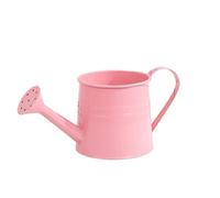 Metal Watering Can For Indoor Plant Long Spout Watering Can Indoor For House Plant Flowers Succulents