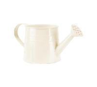 Metal Watering Can for Indoor Plants, 35 oz/1000 ml Long Spout Galvanized Steel Water Can for House Plants Outdoor Garden Flower Decorative (White)