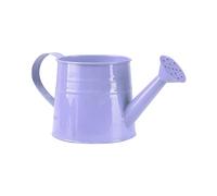 Metal Watering Can for kids 1L Small Indoor Watering Can with Rose Garden Outdoor Galvanised Watering Bucket with Handle Children Mini Garden Jug Water Cans for Garden Yarde Hourse Plants Flower (D)