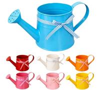 Metal Watering Can Mini,1L Vintage Galvanised Steel Watering Pot with Long Spout,Rust Resistant Lightweight Watering Can for Indoor Outdoor Garden Plants Kids Adult (Blue, Ribbon)