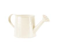 Metal Watering Can with Spout & Handle Small Iron Indoor/Outdoor Plant Watering Can with Detachable Rose Head Lightweight Garden Jug for Houseplants Flowers & Balcony Gardening (A)
