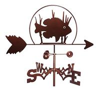 Metal Weather Vane, Vintage Weather Vane Wind Direction Indicator for Outdoor Garden Roof Paddock Decoration Weathervane Professional Measuring Tools -