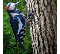 Metal Woodpecker Bird Figurine - Lifeilke Backyard & Garden Gift, Birds Statue Sculpture Art Large Realistic - Outdoor Fall Decor, Metal Yard Art