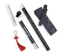 Metal Xiao Flute Classical Vertical Musical Instrument Aluminum Two Section XIAO with Mouth Piece Professional Flute for Beginner (Key G)