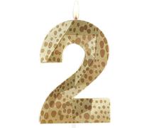 Metallic 3D Lion Wild One Birthday Candles, Number 2 Candle, Happy 2nd Birthday Candle for Cake, Jungle Safari Cake Topper Decorations for Boys Girls Birthday Party Anniversary Celebration Supplies