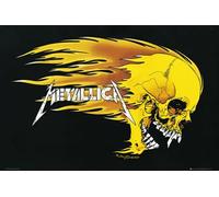 Metallica Flamin Skull Music Poster, 24 x 36 inches, Living Room, Unframed
