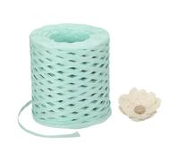METALLIXITY Raffia Paper Craft Ribbon 200m/656ft Raffia Ribbon String Kraft Packing for Gift Wrapping, Crafting Supplies (Mint Green)