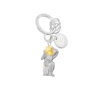 METALMORPHOSE - Aquarius Zodiac Sign Charm Keyring - Aquarius Astrological Sign - Gift for Men, Women and Children, Silver, One Size