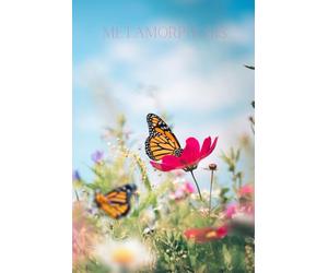 Metamorphosis: A 6x9 Butterfly Journal for Growth, Renewal, and Change