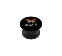 Metamorphosis - Butterfly Life Cycle Transformation PopSockets Adhesive PopGrip