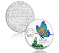 Metamorphosis into Butterfly 2 Year Sobriety Coin - Embrace Growth AA Medallion, Recovery Chip with Token Capsules, Alcohol Free Anniversary Celebration AA Coin, Sobriety Gifts for Men Women
