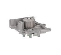 Metelli 24-1049 Water Pump