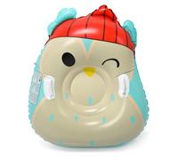 Meteor Owl 16765 snow slide