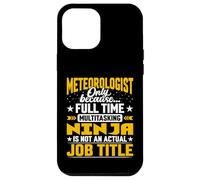 Meteorologist Job Title - Funny Meteorology Scientist Case for iPhone 12 Pro Max