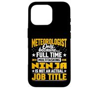Meteorologist Job Title - Funny Meteorology Scientist Case for iPhone 16 Pro