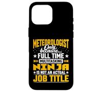 Meteorologist Job Title - Funny Meteorology Scientist Case for iPhone 16 Pro Max