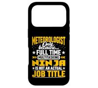 Meteorologist Job Title - Funny Meteorology Scientist Case for iPhone 17 Pro