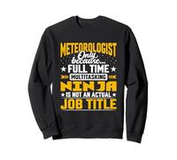 Meteorologist Job Title - Funny Meteorology Scientist Sweatshirt