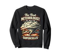 Meteorologist Weather Forecast Meteorology Pun The Best Sweatshirt