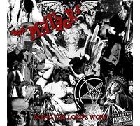 METEORS - DOING THE LORDS WORK - New Vinyl Record - P1398z