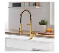 Meter shaker for men and women s Brushed Gold Compatible with Kitchen Sink Single Lever Pull Out Spring Spout Mixers Hot Cold Water,Kitchen tap