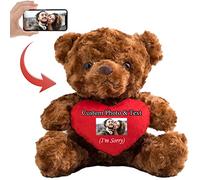 MeterBear Personalised Teddy Bear with Photo & Custom Text on Red Heart, Stuffed Animal Holding Heart as 'I'm Sorry' Gift for Her/Him on Valentine's Day/Anniversary/Birthday (8 IN - Red Heart)