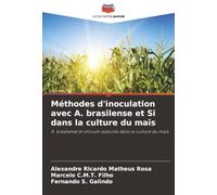 Méthodes d'inoculation avec A. brasilense et Si dans la culture du maïs: A. brasilense et silicium associés dans la culture du maïs