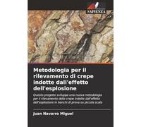 Metodologia per il rilevamento di crepe indotte dall'effetto dell'esplosione: Questo progetto sviluppa una nuova metodologia per il rilevamento delle ... in banchi di prova su piccola scala