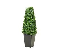 Metro Garden Floralcraft® Set of 2 Artificial Boxwood Topiary Pyramid Cone in Black Resin Pot 55cm (1.8ft) Tabletop or Floor Standing Tree