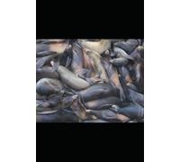 Metroid Prime 4: Unlocking the Universe