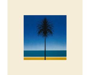 Metronomy | The English Riviera | Vinyl LP - Black