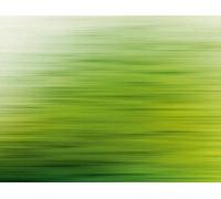 Metropolitan Stories Mural Brushed Green 38261-1