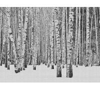 Metropolitan Stories Mural Frozen Forest 38259-1