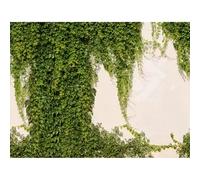 Metropolitan Stories Mural Lively Wall Mural 392271