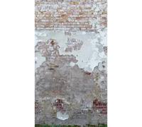 Metropolitan Stories Mural Sun faded Brick Wall 392341