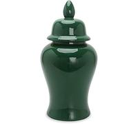METTEOR Green Ceramic Ginger Jar, Vase Chinese Porcelain Temple Jar With Lid, Modern Large Oriental Decorative Jar For Table Centerpiece Livingroom Decor,Green-L (Green L)
