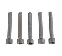 METZGER AUTOTEILE Injection Nozzle Holder Screw 0873170 For VW, Reinforced