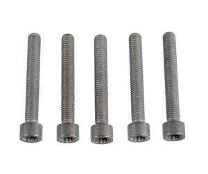 METZGER AUTOTEILE Injection Nozzle Holder Screw 0873170 For VW, Reinforced