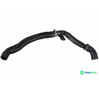 METZGER AUTOTEILE RADIATOR HOSE 2421828