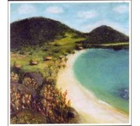 Meu Jazz Brasileiro Tem Um Poquinho De Blues