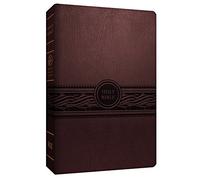MEV Personal Size Large Print (Cherry Brown): Modern English Version (MEV)